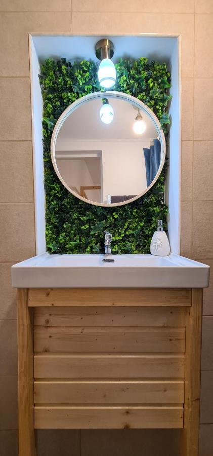 ブラショフZeiss Houseアパートメント エクステリア 写真